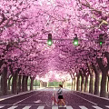 Scenic Road Facilities With Pink Cherry Trees Traffic Lights Zebra Crossing And Bicycle Path For Riders