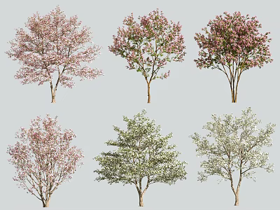 Various Arbor Trees With Pink White Green Blooms And Leafy Foliage For Garden Landscape 3d model