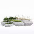 Bonsai Potted Plants In Stylish Irregular Stone Planters With Green Foliage And Grasses