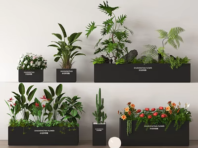 Different Types of Green Plants and Colorful Flowers in Black Planters Displayed on Shelves 3d model