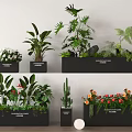 Different Types of Green Plants and Colorful Flowers in Black Planters Displayed on Shelves