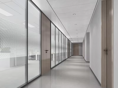 Modern Office Corridor With Glass Partitions Wooden Doors Bright Lighting And Open Space 3d model
