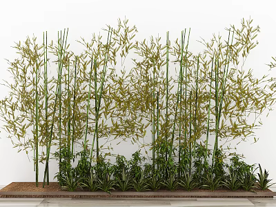 Lush Green Bamboo Plants With Tall Stems And Fresh Surrounding Foliage 3d model