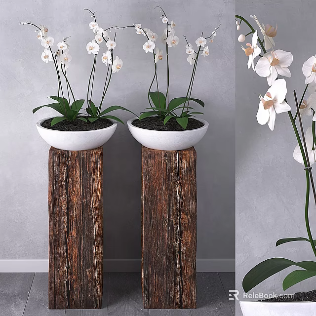 Rustic Garden Decor With Wooden Pillars White Flower Pots White Orchids And Green Leaves 3d model 