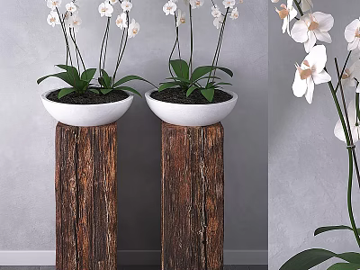 Rustic Garden Decor With Wooden Pillars White Flower Pots White Orchids And Green Leaves 3d model