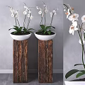 Rustic Garden Decor With Wooden Pillars White Flower Pots White Orchids And Green Leaves
