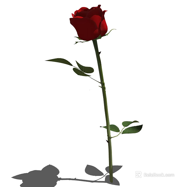 Single Red Rose With Green Stem And Fresh Leaves For Floral Decoration 3d model 
