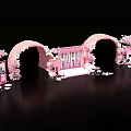 Pink Wedding Decoration With Cherry Blossom Arches And Chinese Character Screens