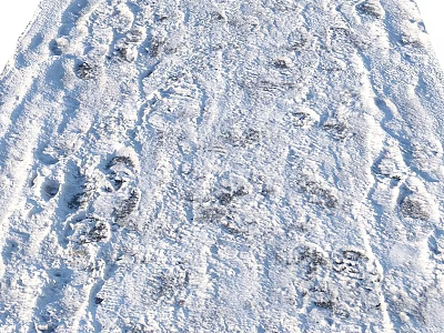 Numerous Fresh Footprints Across Snowy Ground Creating Natural Winter Trail Patterns 3d model
