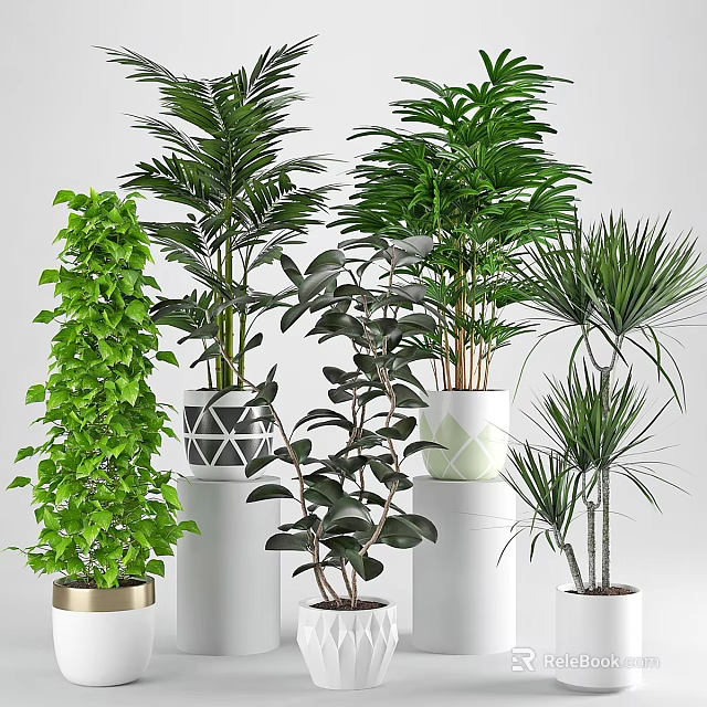 Decorative Indoor Plant Arrangement With Various Green Plants And Stylish Pots 3d model 