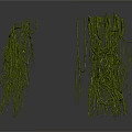 Different Shaped Green Organ Hair Structures With Slender Branches And Reflections