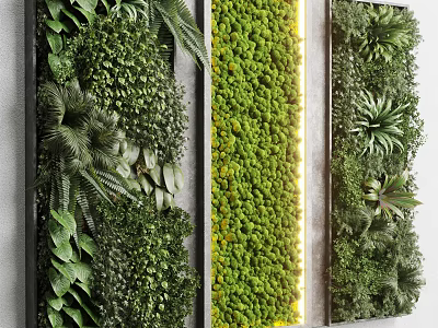 Vertical Garden Living Plant Wall Interior Design With Ferns Succulents And Moss 3d model