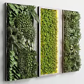 Vertical Garden Living Plant Wall Interior Design With Ferns Succulents And Moss