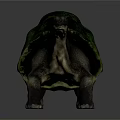Realistic Green Shell Turtle Model With Textured Surface On Gray Background