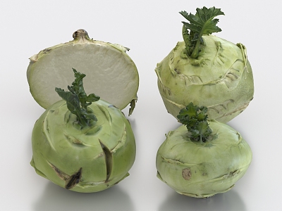 kohlrabi bulb cabbage vegetable food 3d model