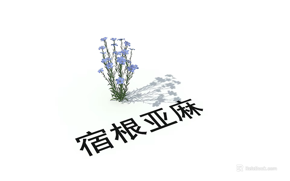 Perennial Flax Flowers With Fresh Blue Small Blooms And Green Leaves 3d model 
