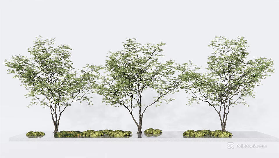 Three Healthy Arbor Trees With Lush Green Foliage And Stone Accents 3d model 