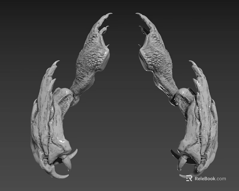 Game Movie Character Claws Detailed 3D Model Design With Textured Surface 3d model 