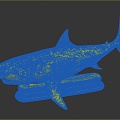 Modern Shark Great White Shark White Shark 3d model