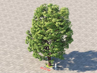 Tall Lush Green Arbor With Dense Foliage Standing On Paved Ground 3d model