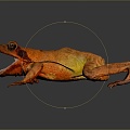 Frog Frog Frog Poison Frog Game Frog Reptile Cold Blooded Animal Reptile Reptile 3d model