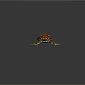 Modern Turtle Cartoon Turtle 3d model