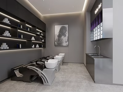 Stylish Modern Beauty Hair Salon Interior With Styling Chairs Product Display Shelves And Sink 3d model