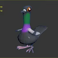 3D Pigeon Model With Gray Body Green Neck Purple Chest White Wings And Pink Feet
