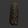 Brown Natural Pine Cone With Detailed Textured Scales On Gray Background