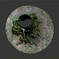 Ancient Tree Stump With Lush Green Moss On Trunk And Leaf Covered Ground