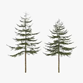 Decorative Tree Ornament Set With Human Silhouette For Size Reference And Landscape Decoration