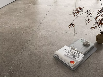Modern Gray Stone-like Floor Tiles For Interior Floor With Tray Books And Potted Plant 3d model