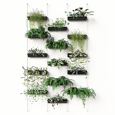 Lush Modern Green Wall Design With Various Hanging Plants And Wall Planters 3d model