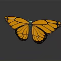 Yellow Butterfly With Black Spots On Spread Wings And Reflection On Gray Background