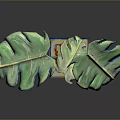 Monstera Plant With Large Green Split Leaves In Yellow Orange Painted Square Pot