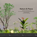 Nature Inspired Indoor Landscape With Green Plants Colorful Flowers And Peaceful Ambiance