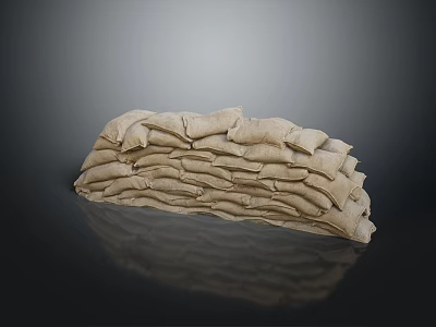 Sports Equipment Sandbags For Fitness Training And Workout Sessions 3d model