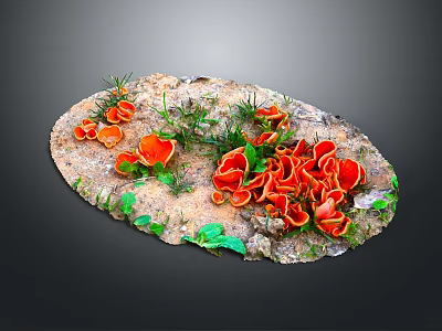 Vibrant Red Mushrooms And Green Grass Growing On Natural Rock Surface 3d model