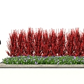 Red leaf shrub fence hedge landscape wall group background 3d model