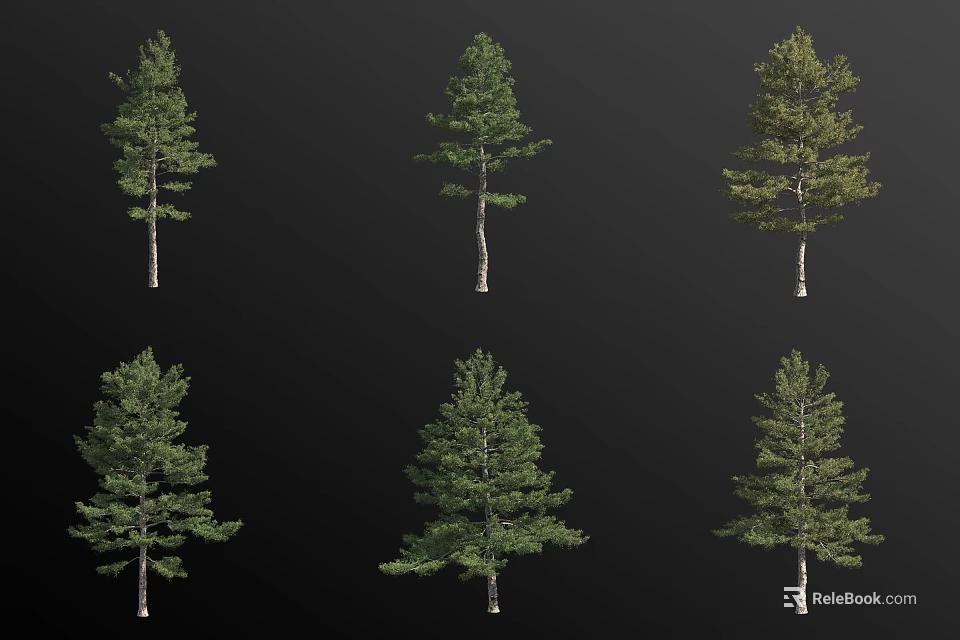 Different Arbor Trees With Green Foliage And Various Shapes In Landscape 3d model 