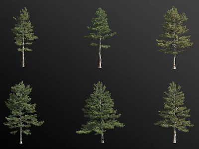 Different Arbor Trees With Green Foliage And Various Shapes In Landscape 3d model