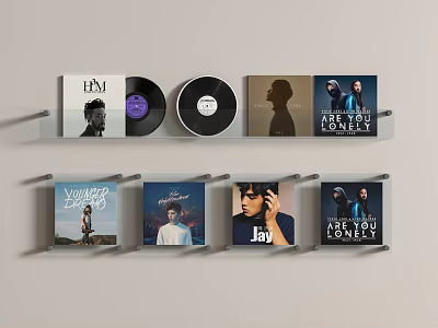 Stylish Photo Wall Decor With Vinyl Records And Album Covers On Shelves 3d model