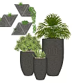 Potted Bonsai Plants With Geometric Hanging Planters Large Pots And Lush Green Foliage