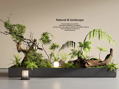 Indoor Natural Landscape With Artificial Plant Arrangement Wooden Elements And Lighting 3d model