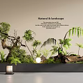 Indoor Natural Landscape With Artificial Plant Arrangement Wooden Elements And Lighting