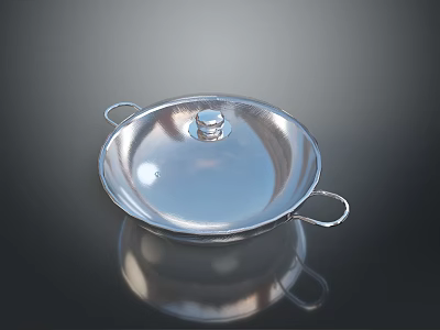 Shiny Stainless Steel Cooking Pot With Lid And Double Side Handles 3d model