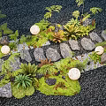 Lush Flowering Plants And Ferns With Decorative Stones Green Moss Natural Garden Landscape Design