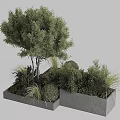 Modern Garden Landscape Design With Concrete Planter Boxes And Assorted Lush Ornamental Green Plants