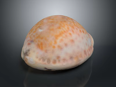 Anatomical Structure of Biological Organs and Natural Hair Texture Features 3d model