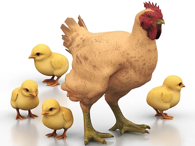Mother Hen With Cute Little Chicks Walking On White Background 3d model